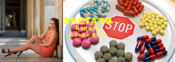 мдпв Инсар