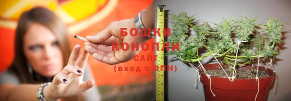гидропоника Иннополис