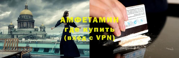 мдпв Инсар