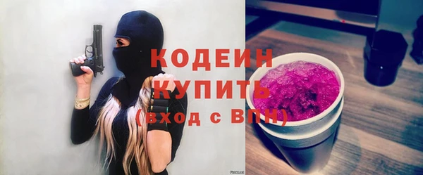 мдпв Инсар