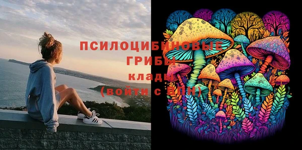 гидропоника Иннополис