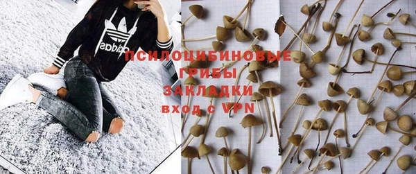 мдпв Инсар
