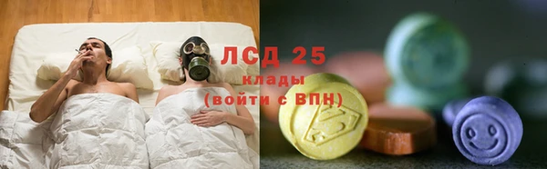 мдпв Инсар