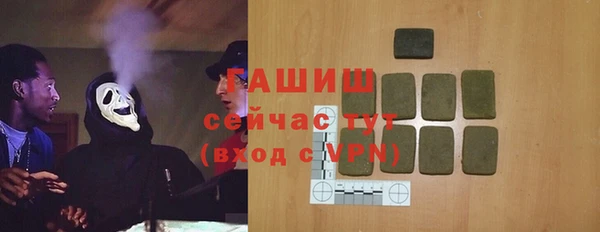 мдпв Инсар
