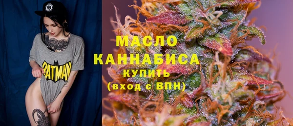 мдпв Инсар