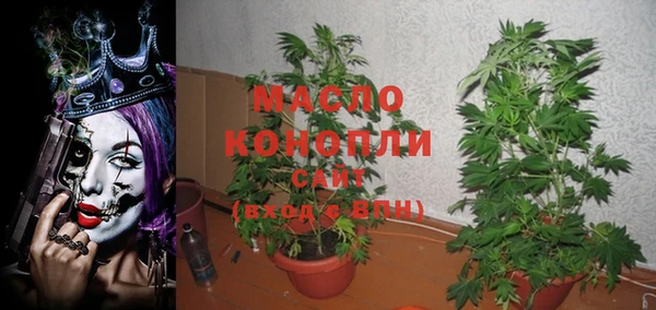 мдпв Инсар