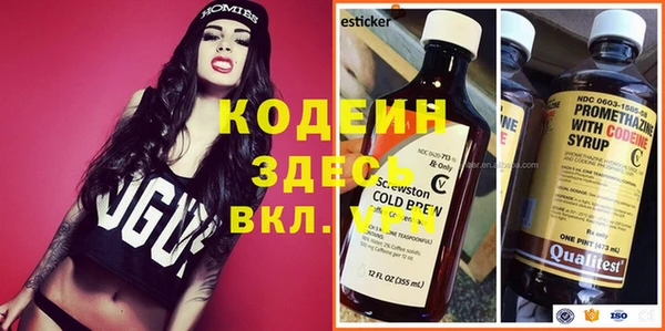мдпв Инсар
