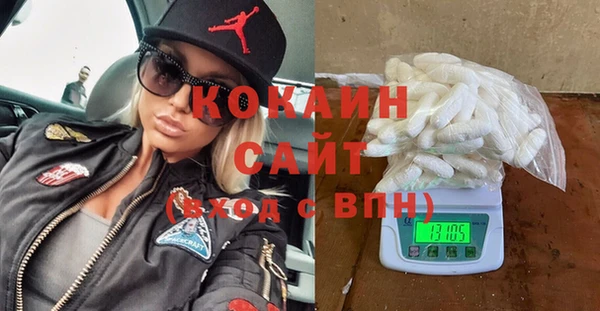 мдпв Инсар