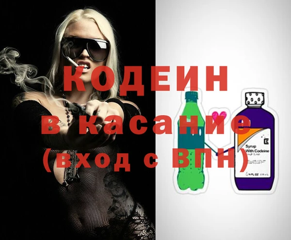 мдпв Инсар
