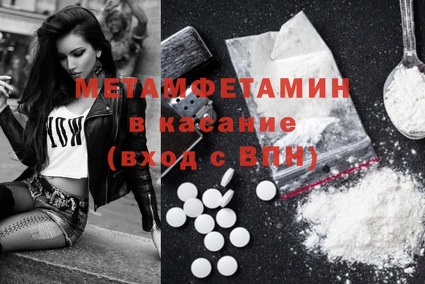 мдпв Инсар