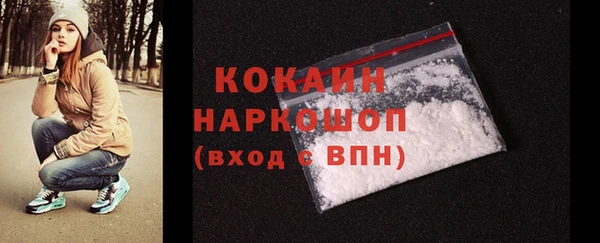 мдпв Инсар
