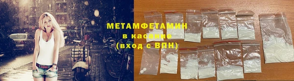 мдпв Инсар